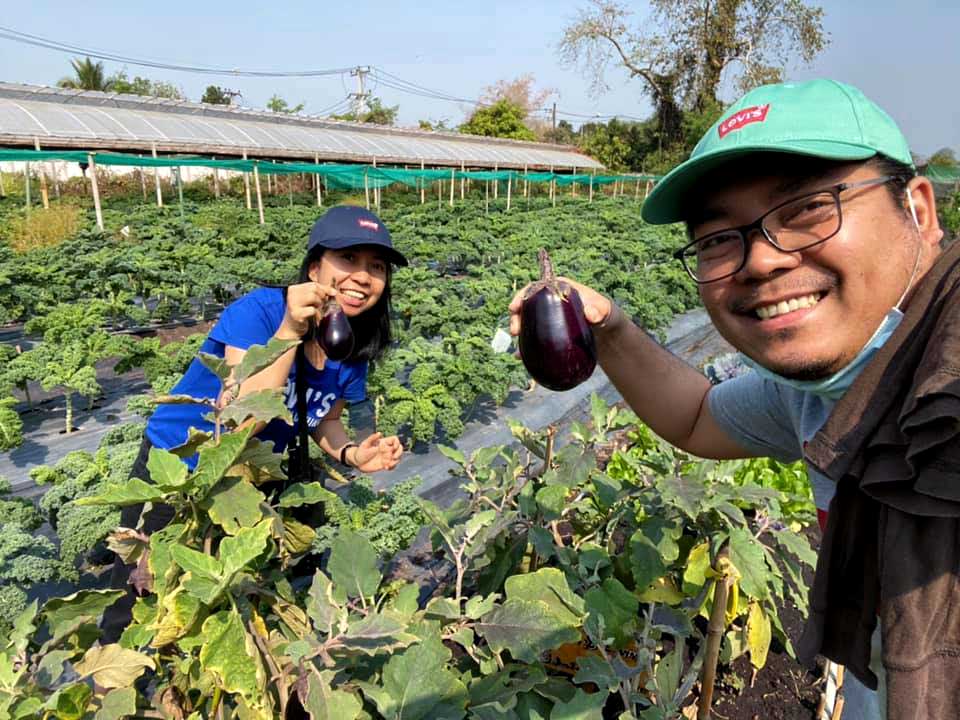 Community Farm Farming Hybrid Project