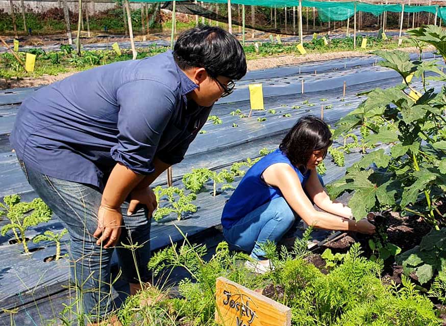 Chiang Mai community farm